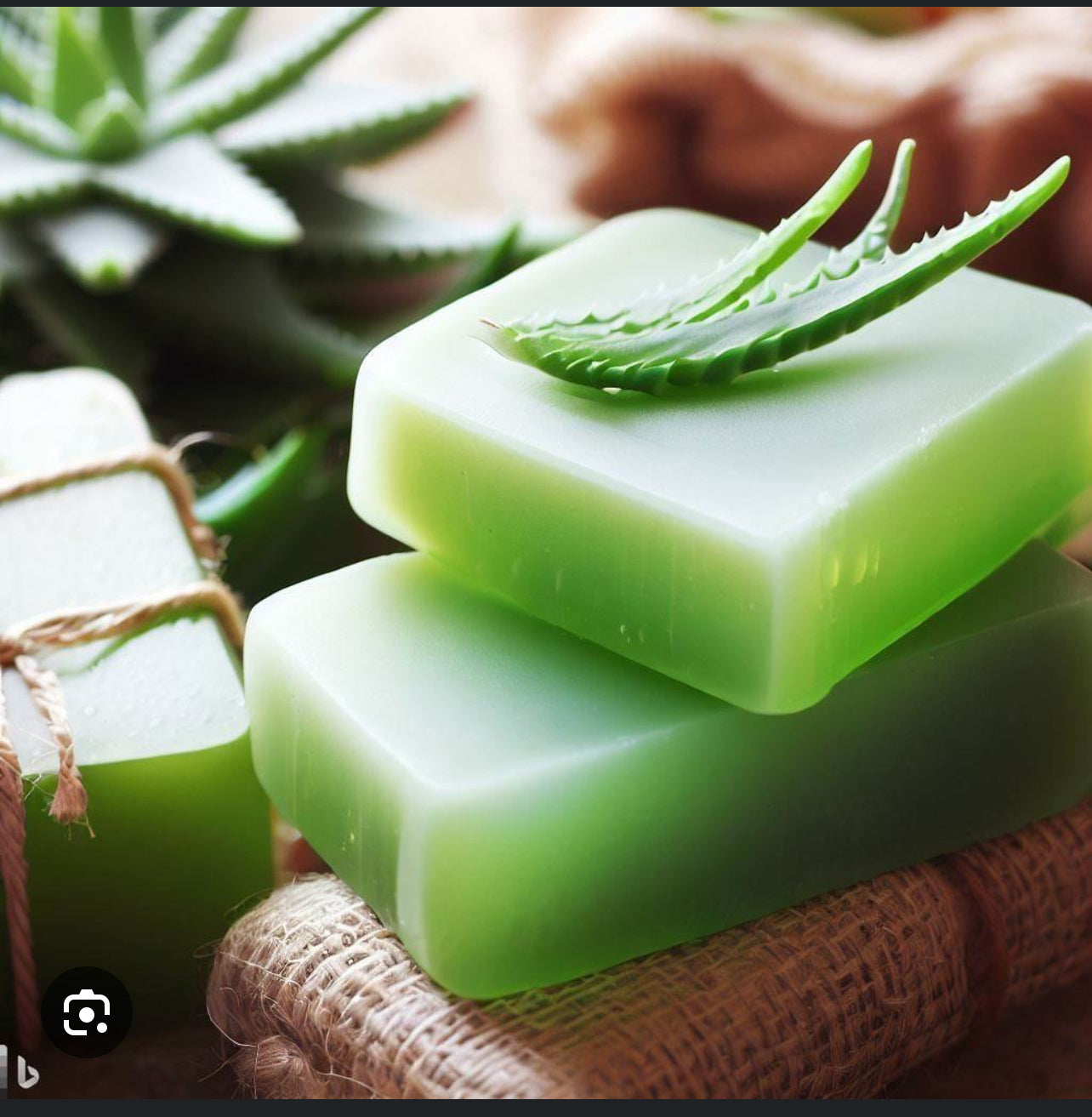 Aloe Vera & Goat’s Milk Soap! 🌿