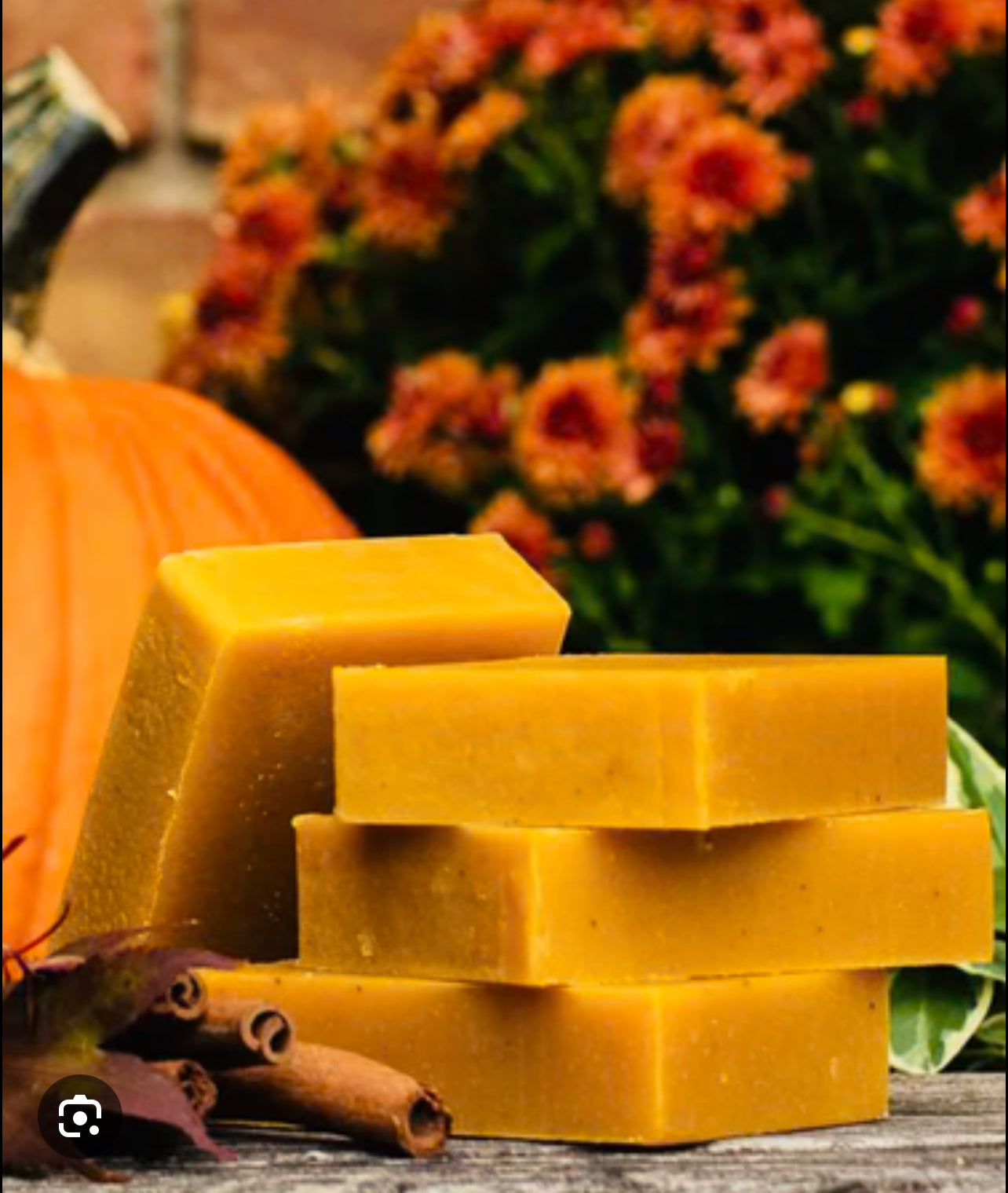 Autumn Harvest pumpkin soap