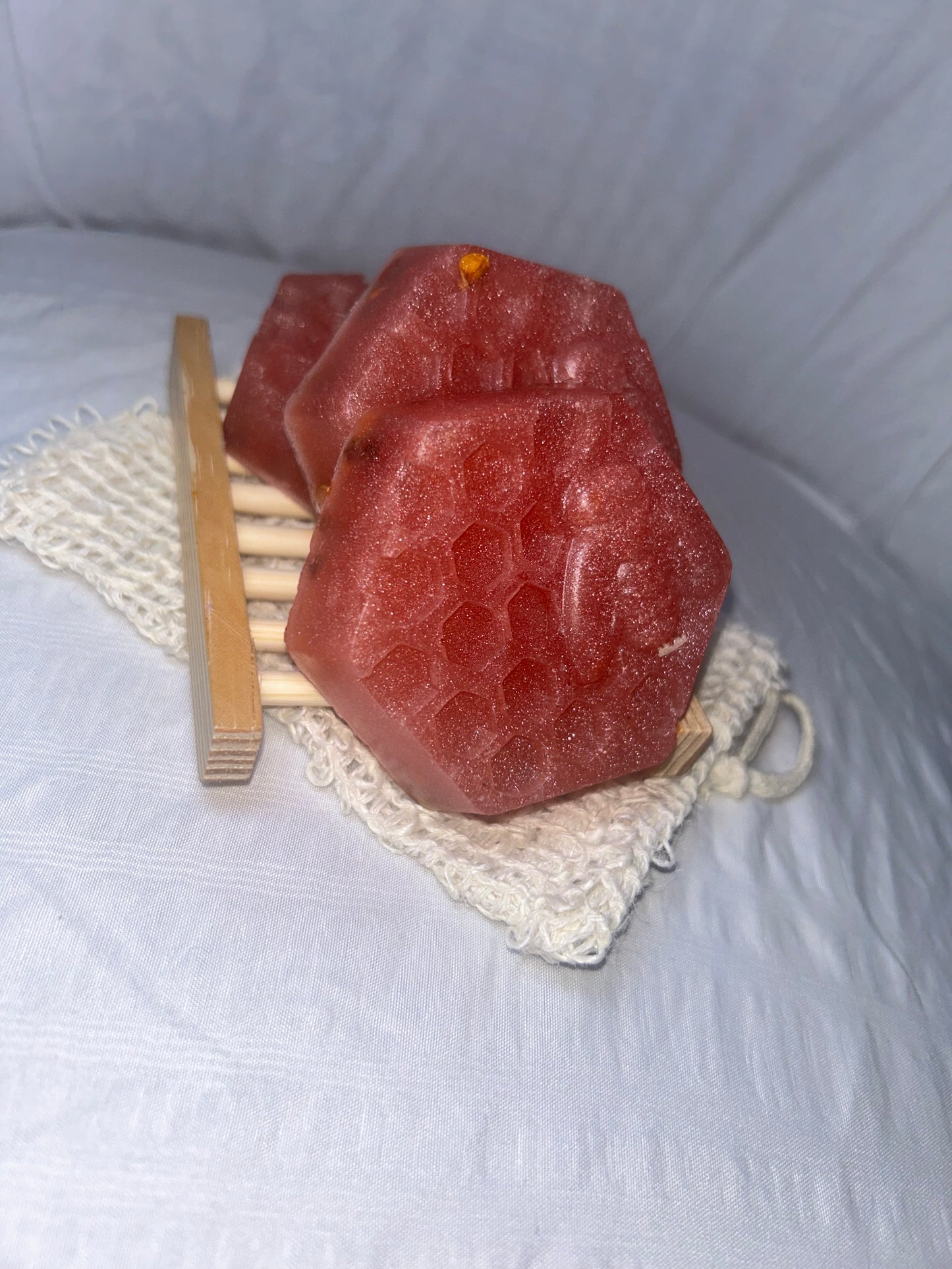 Autumn Magnolia Bliss