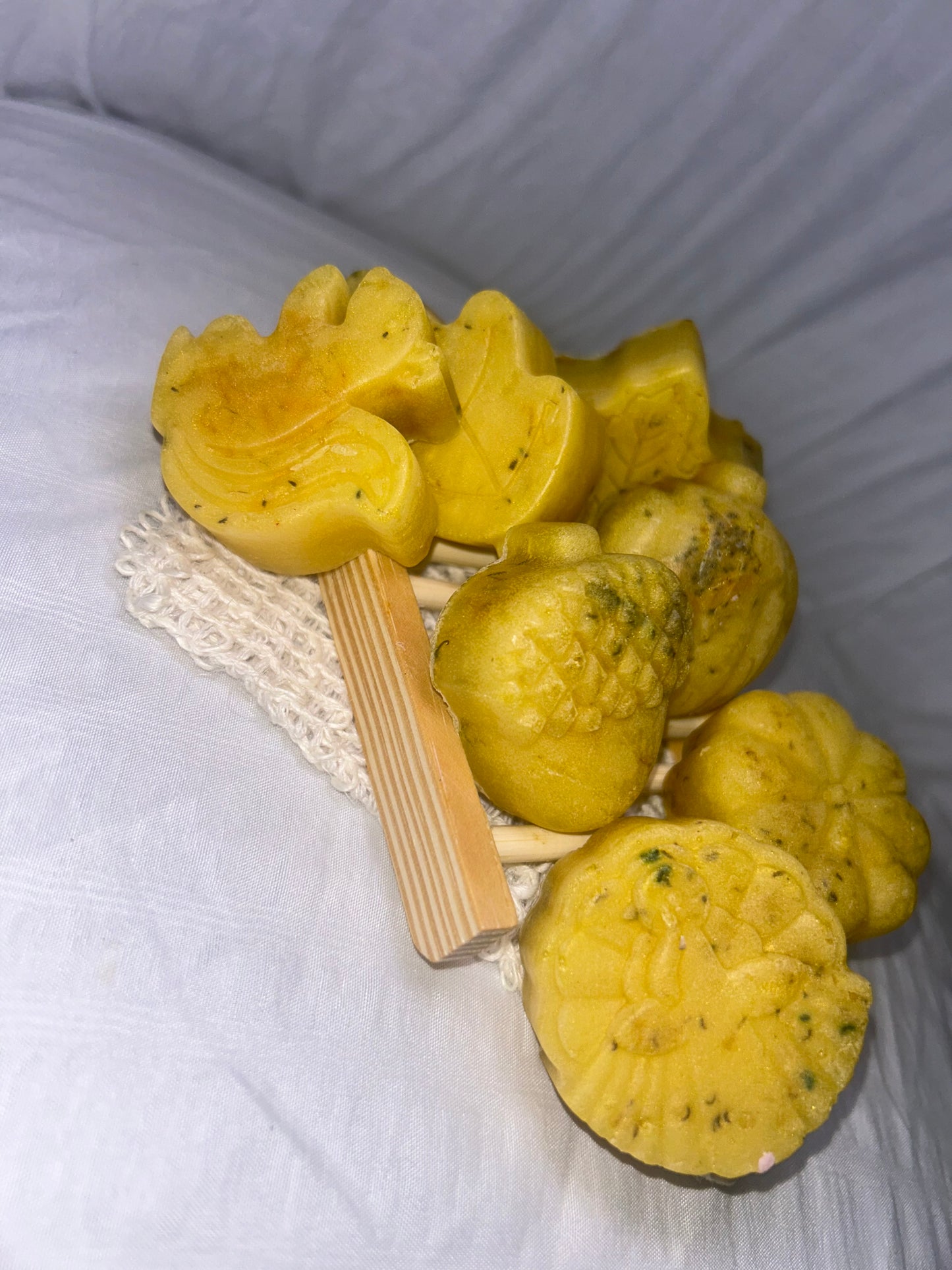 Autumn Magnolia Bliss