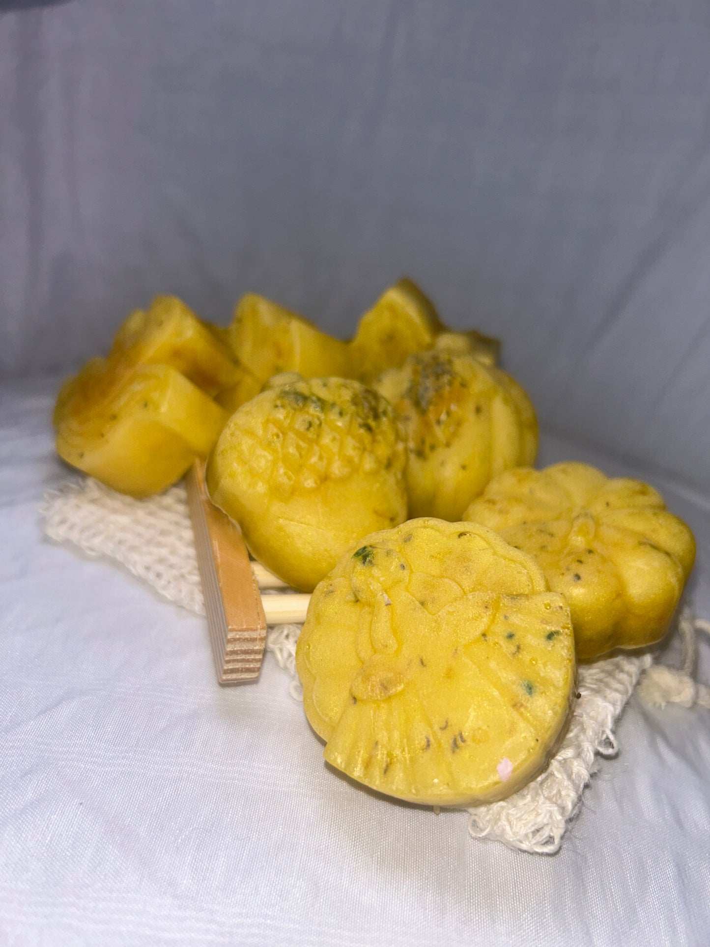 Autumn Magnolia Bliss