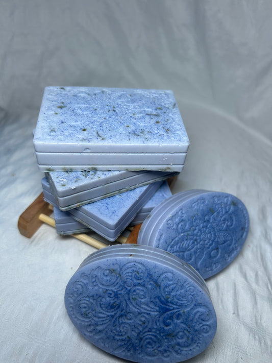 Lavender  fields 🪻