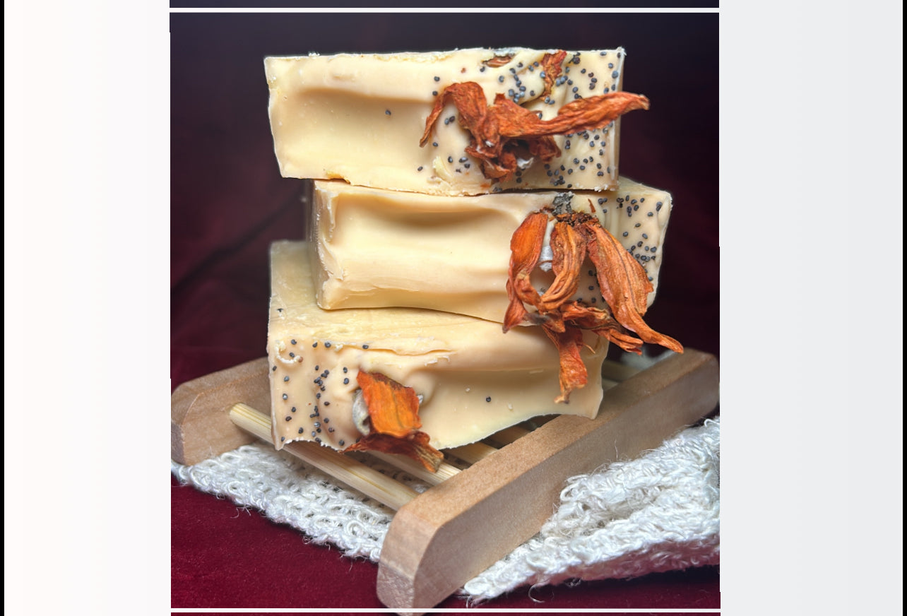 Garden Glow 🍅🌿🥕